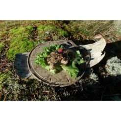 Kupilka Kaarna M - Planche à Découper-Original (Marron) -Camping En Plein Air Boutique kupilka kaarna m planche a decouper original marron 2